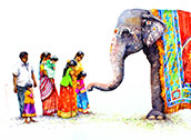 ashirwadham elephant
